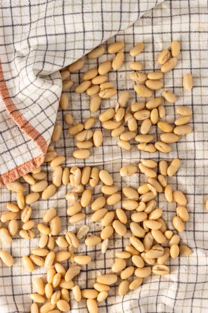 Drained white beans on a kitchen towel waiting to be dried.