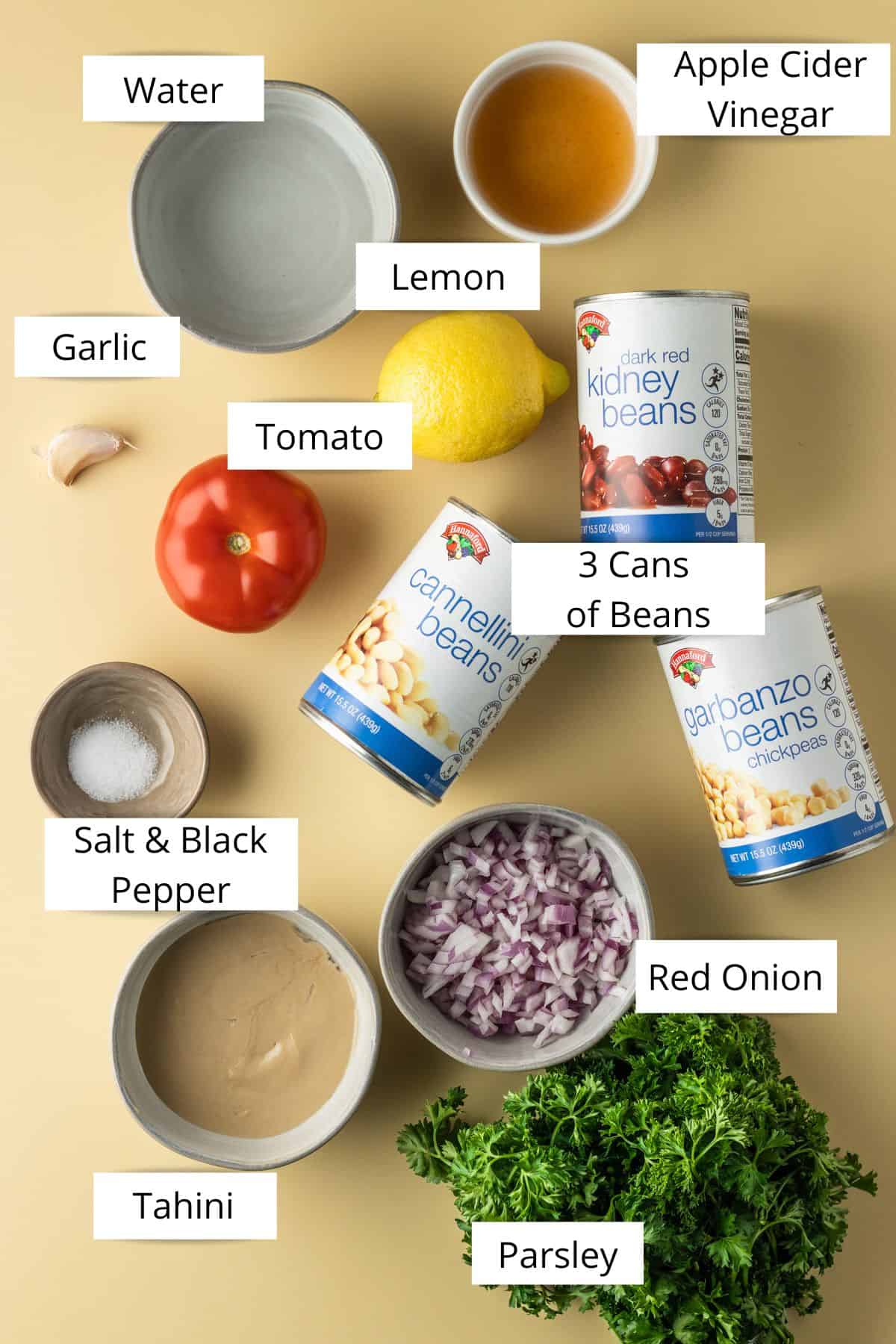 Overhead view of ingredients for bean salt including: water, lemon, apple cider vinegar, garlic, tomato, beans, tahini, red onion, parsley and salt.