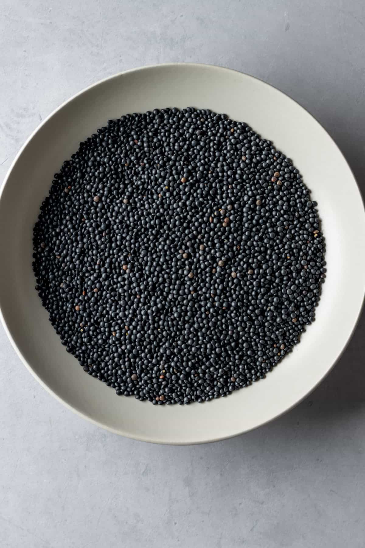 A bowl of black or beluga lentils.