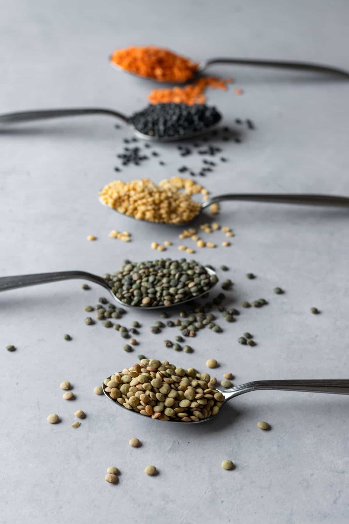 Close up of multiple spoons with various colors of dried lentils.