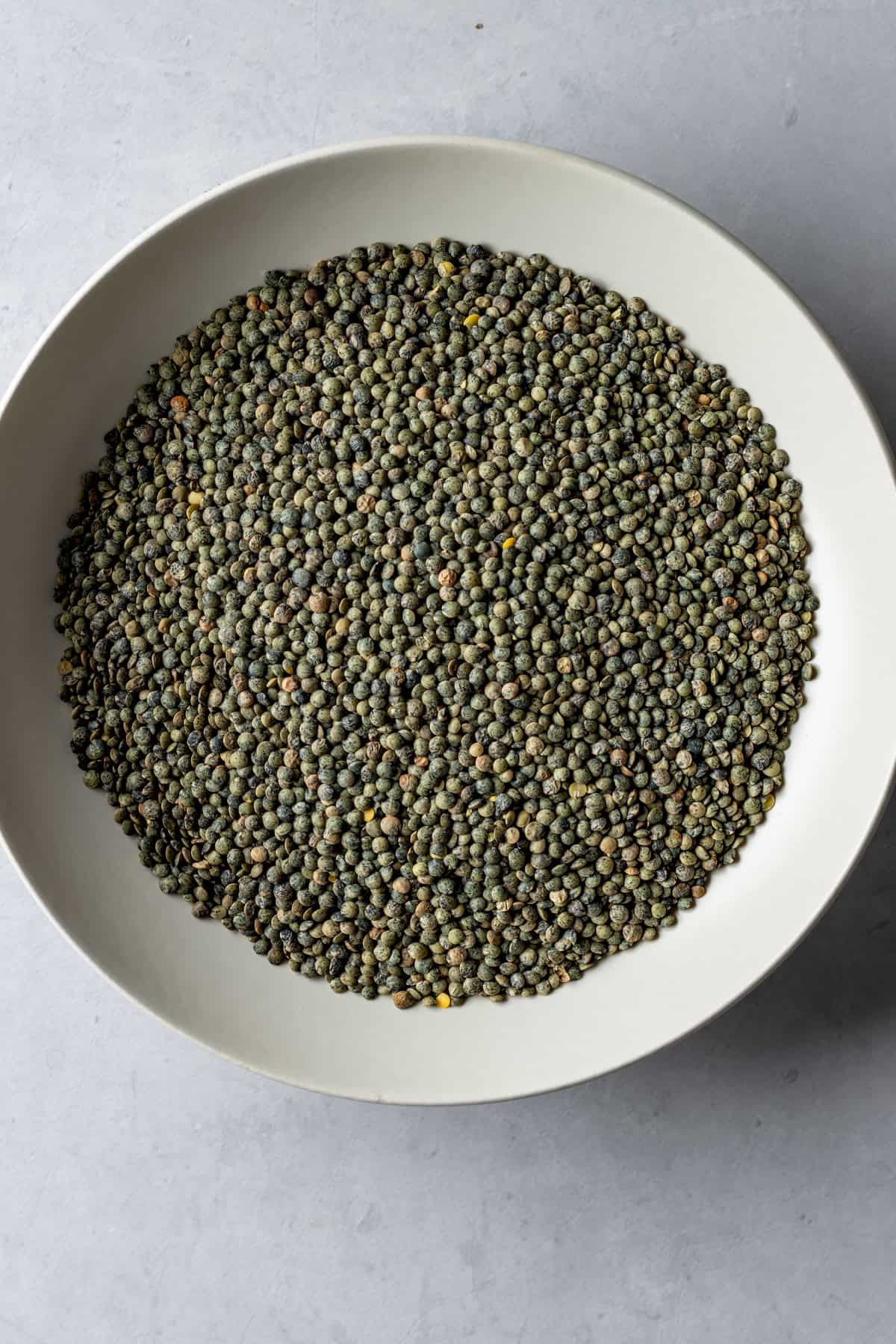 A bowl of dried French green lentils.