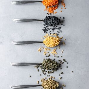 Five spoons with scoops of various colored lentils on them.