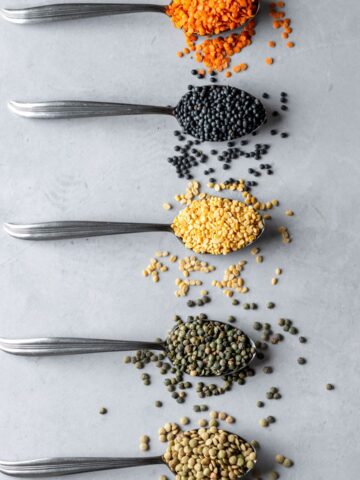 Five spoons with scoops of various colored lentils on them.