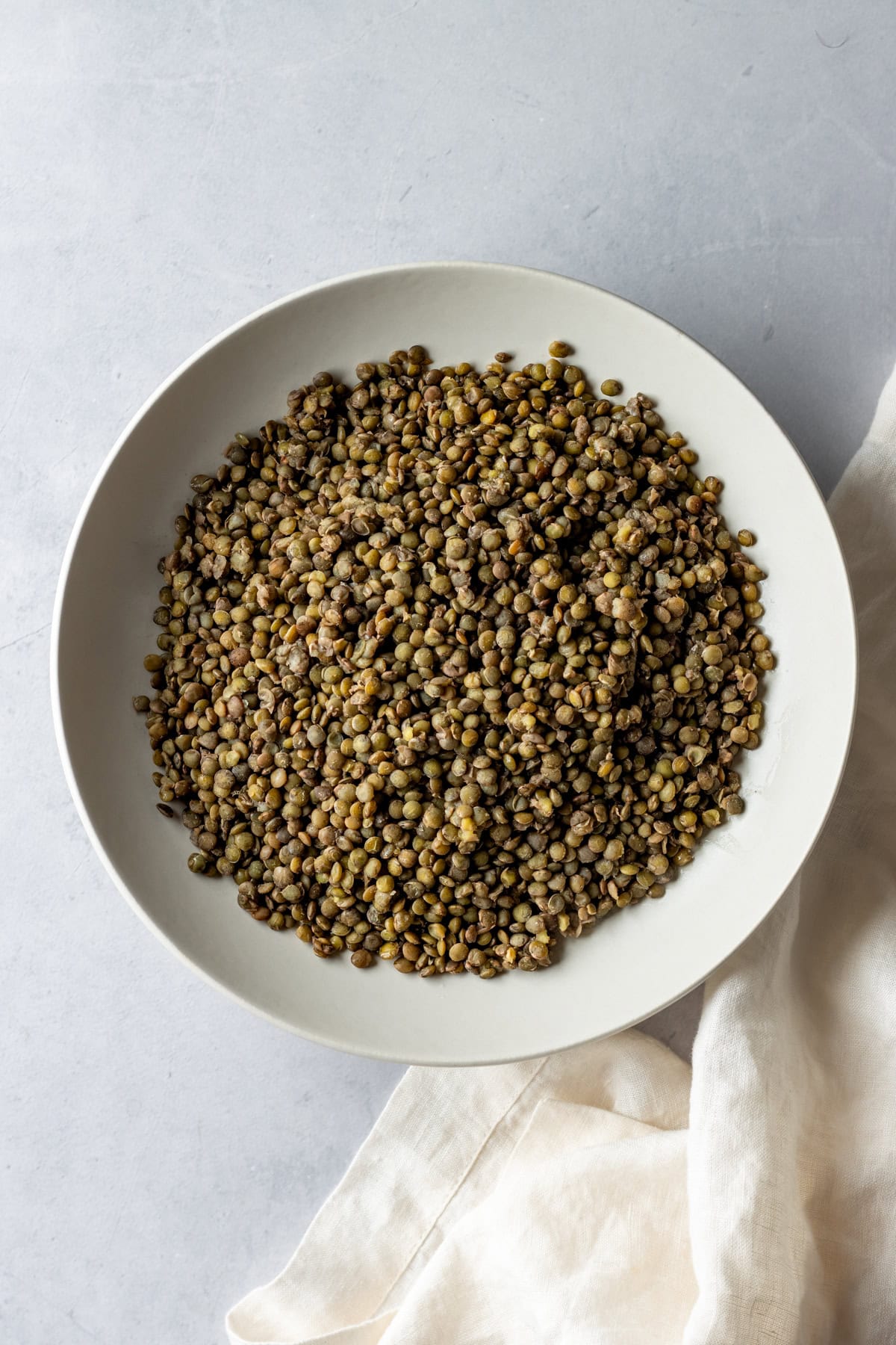 Cooked French green lentils in a white bowl.