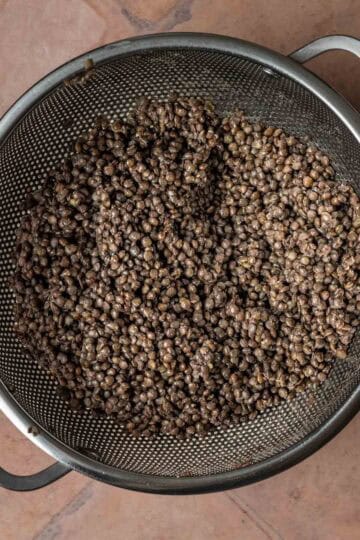 Cooked black lentils in a strainer.